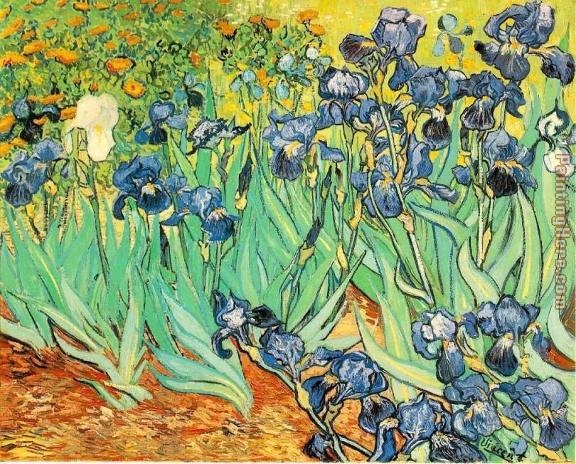Irises painting - Vincent van Gogh Irises art painting